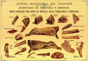 Meat cuts - Argentina - carne
